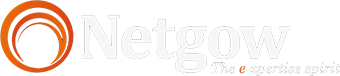 Netgow Media